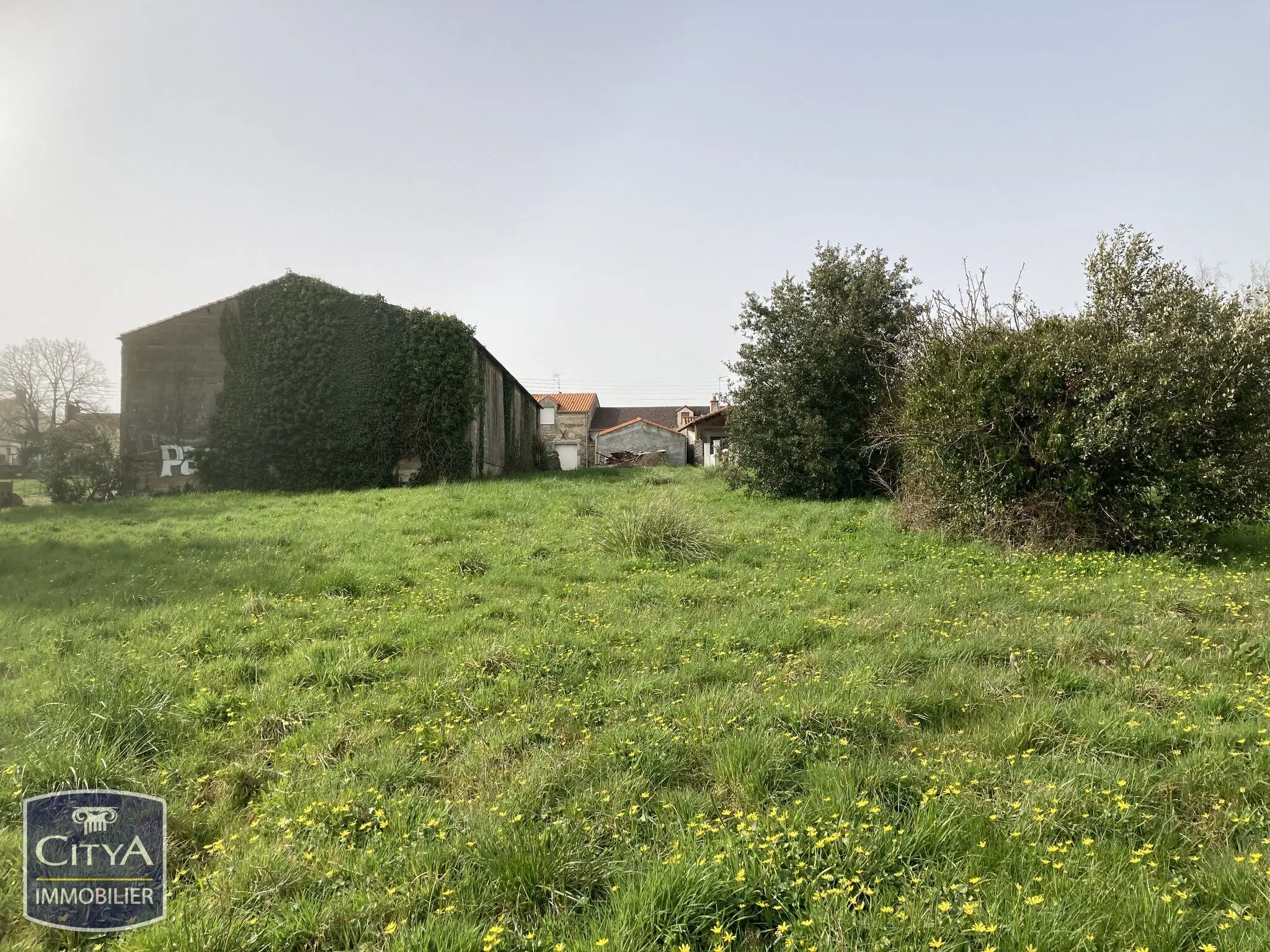 Photo 2 terrain Les Moutiers-en-Retz