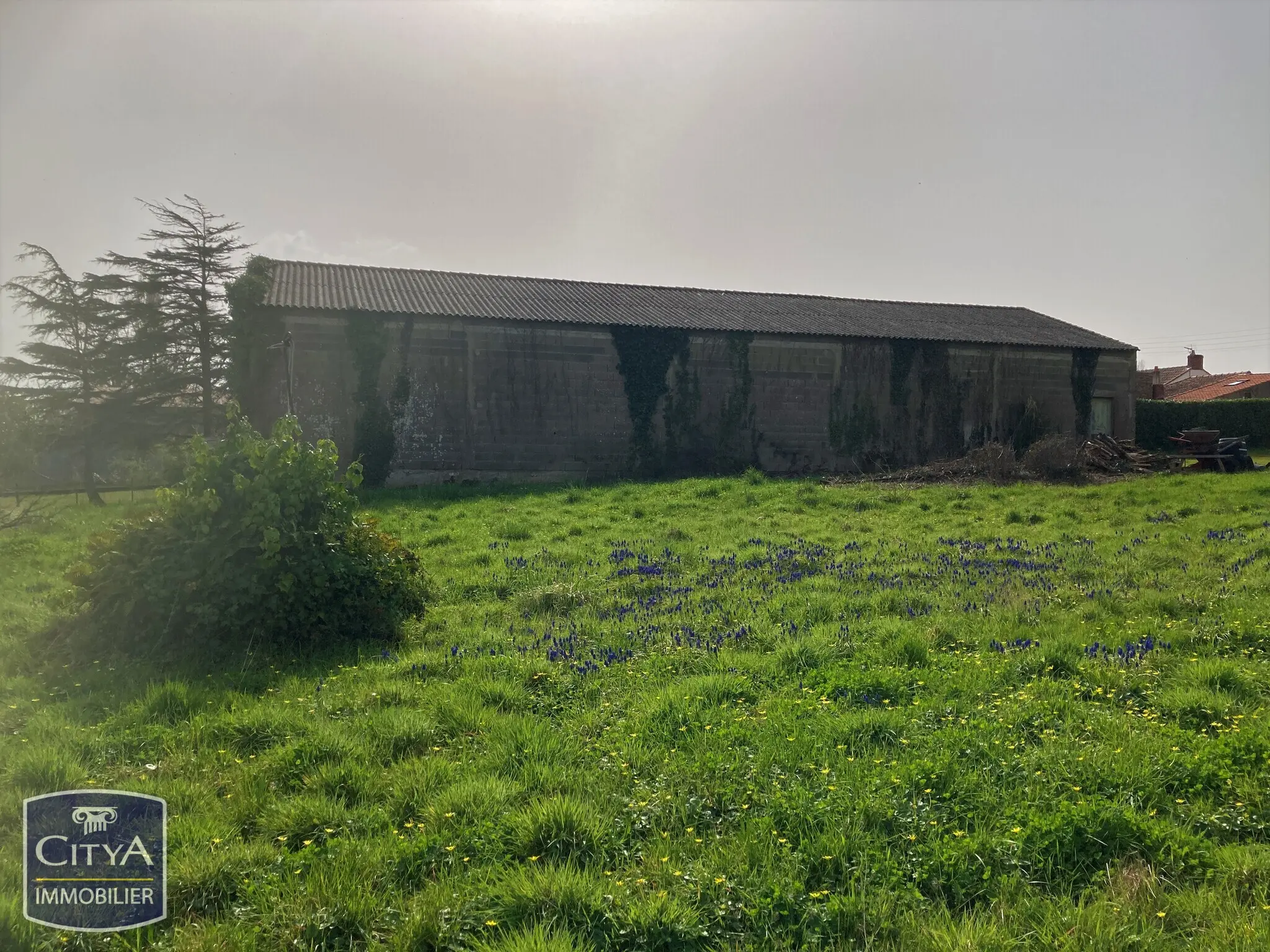 Photo 1 terrain Les Moutiers-en-Retz
