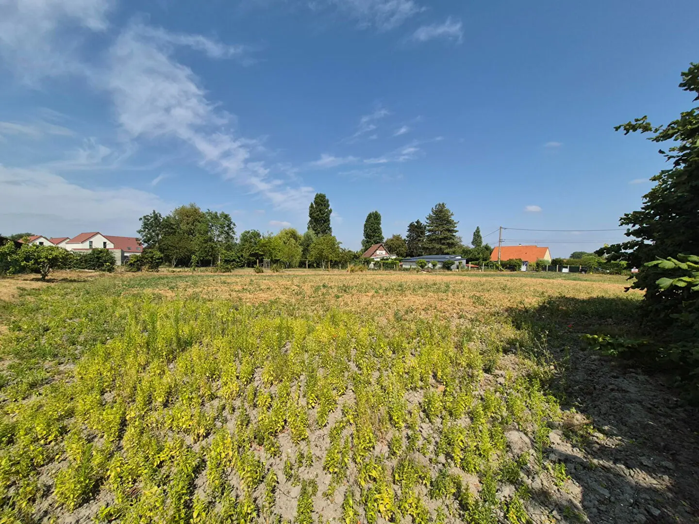Photo 1 Terrain 1138m²