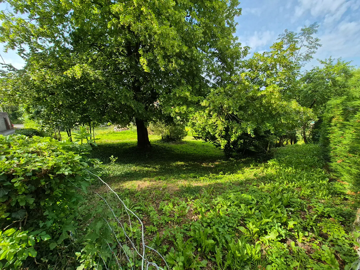 Photo 1 Terrain 816m²