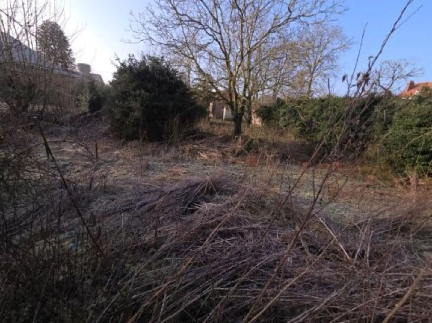 Photo 3 Terrain 525m²