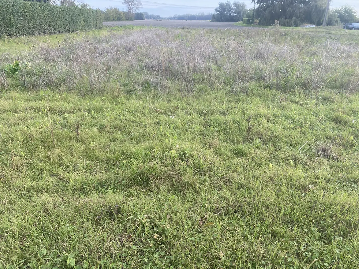 Photo 1 Terrain