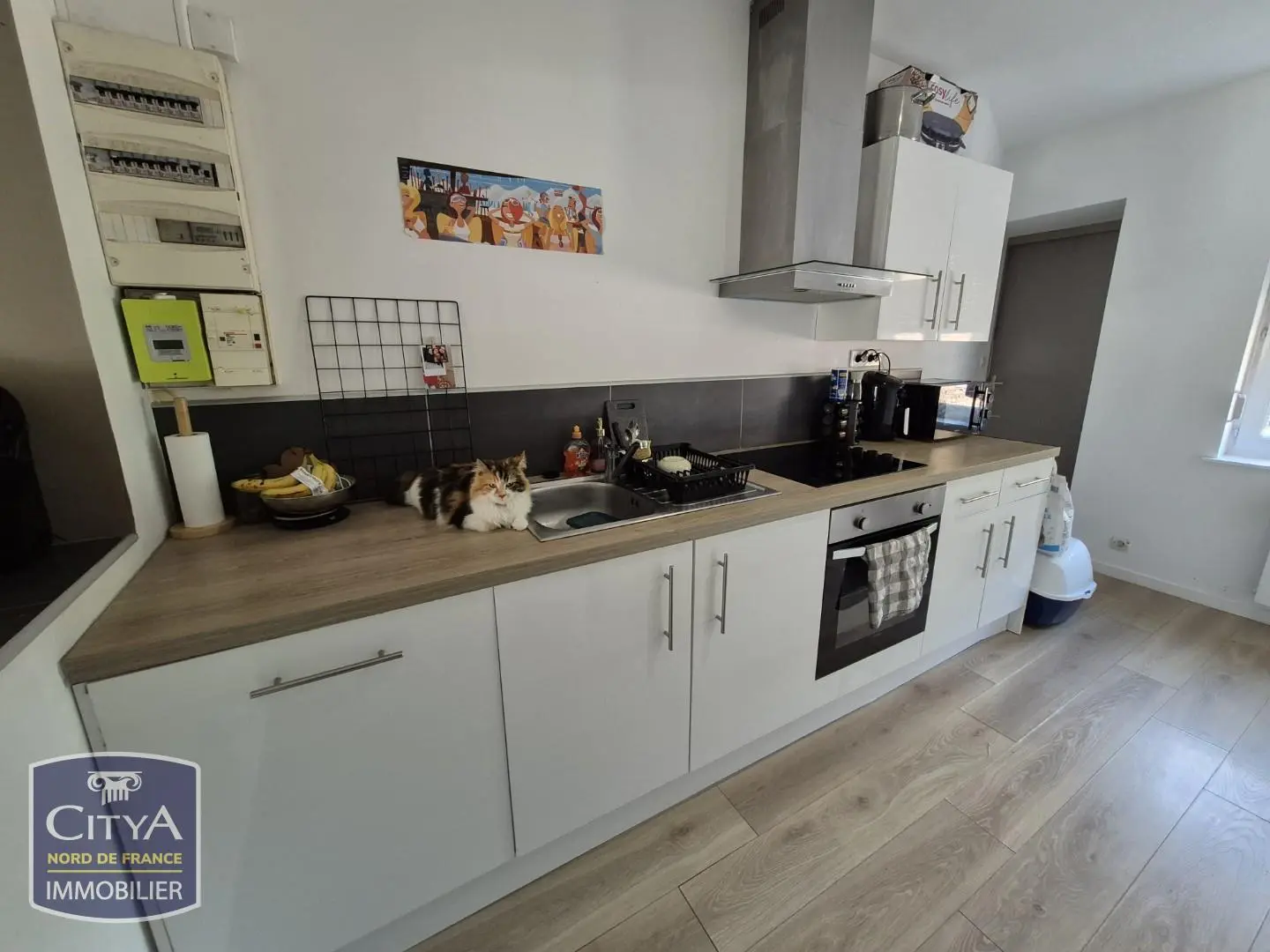 Photo 1 Appartement 2 pièces 52m²