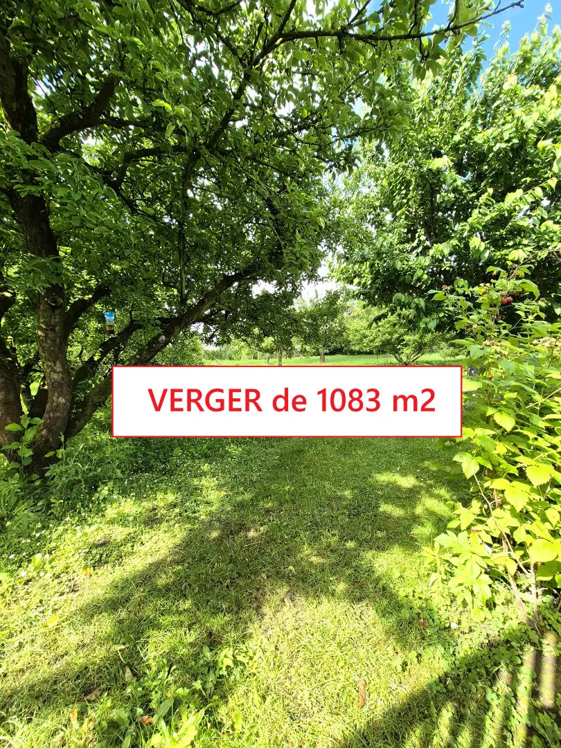 Photo 8 maison Cambrai