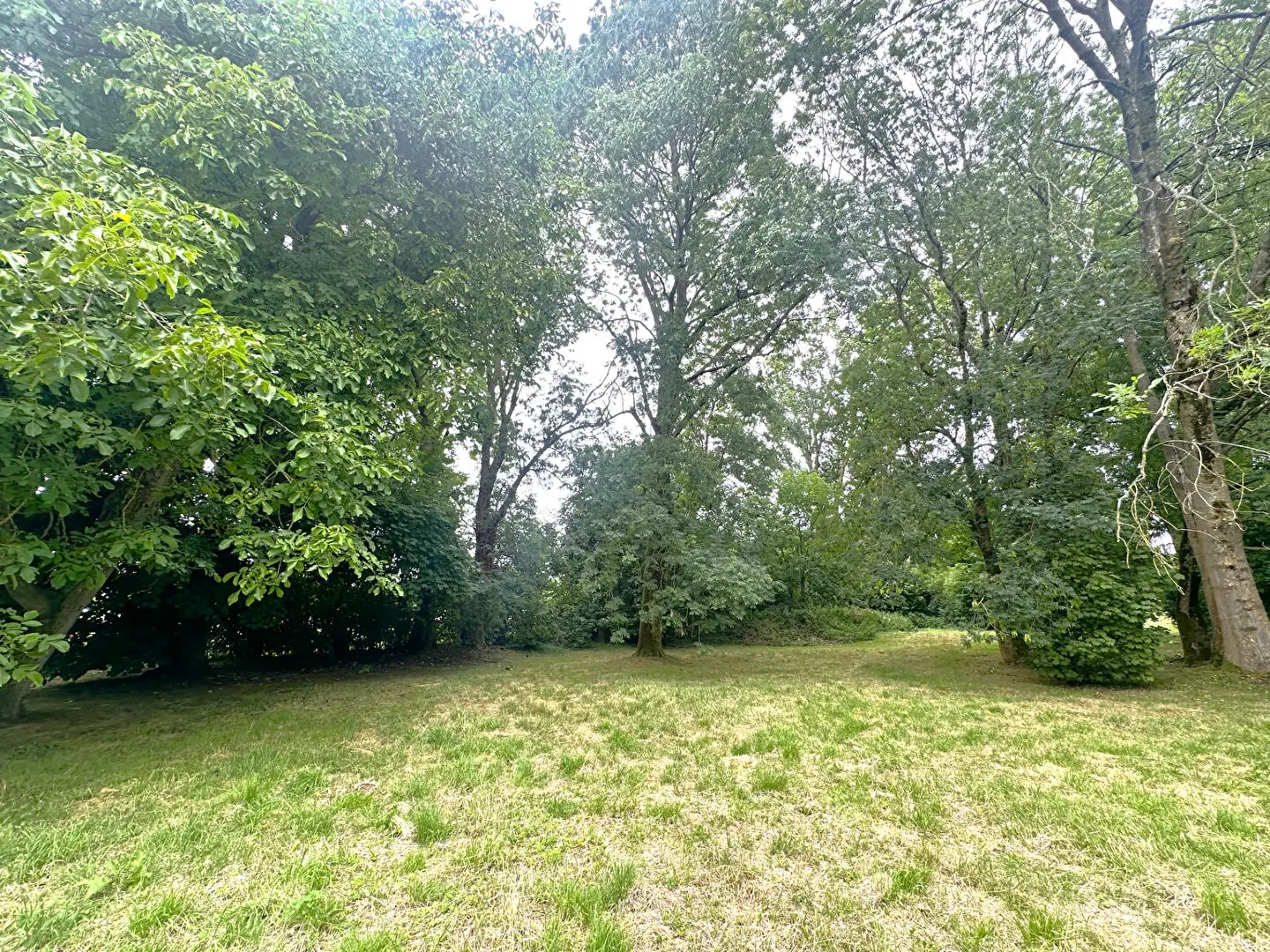 Photo 3 Terrain 1750m²