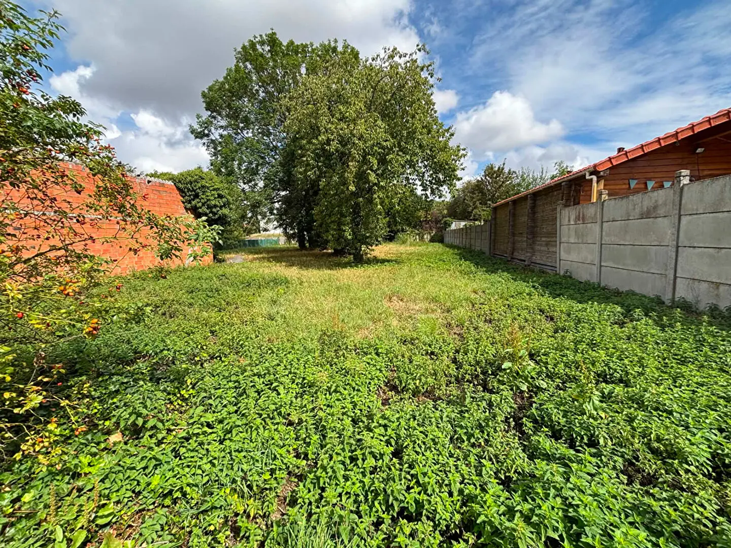 Photo 7 maison Caudry
