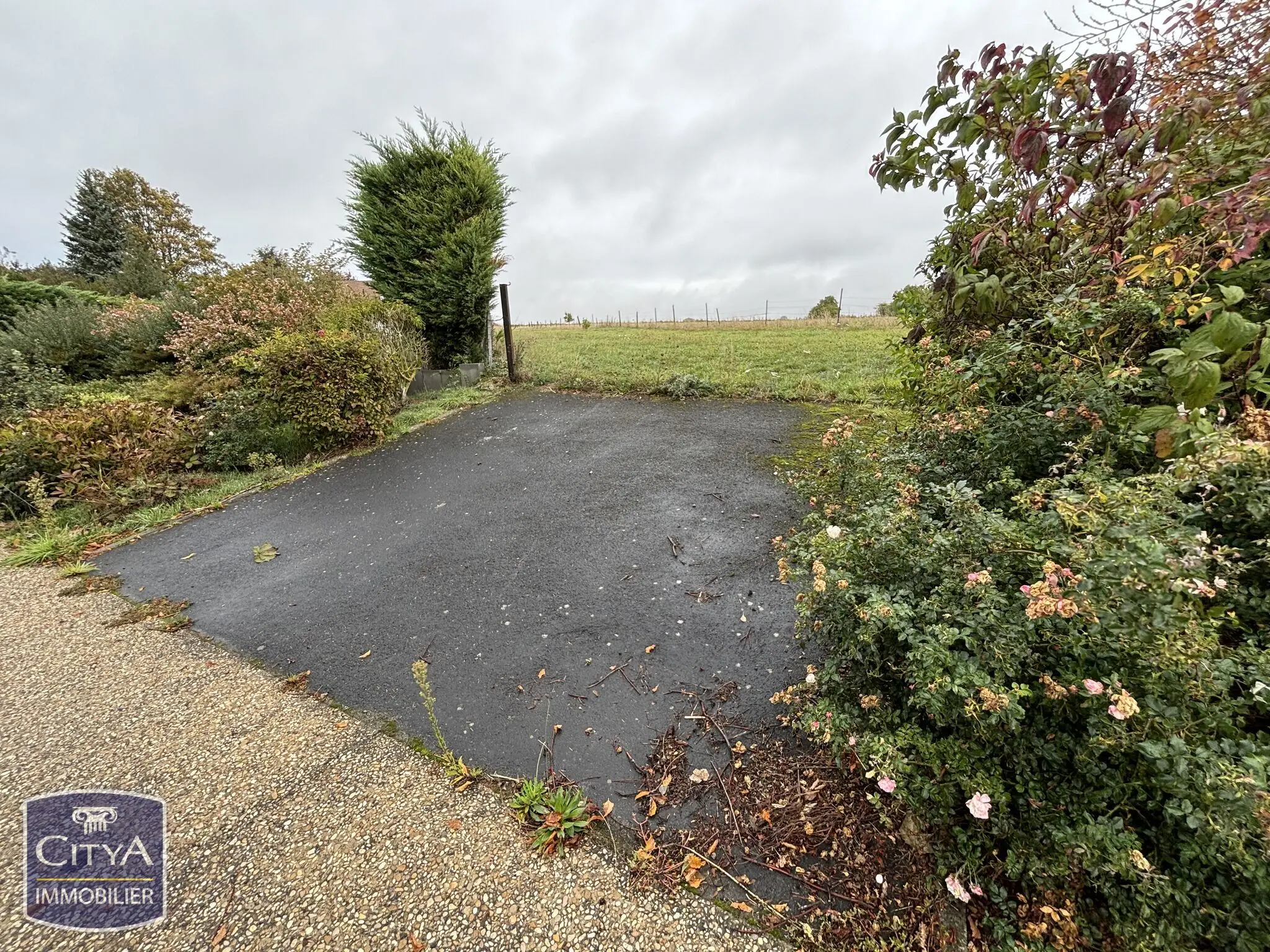 Photo 1 Terrain