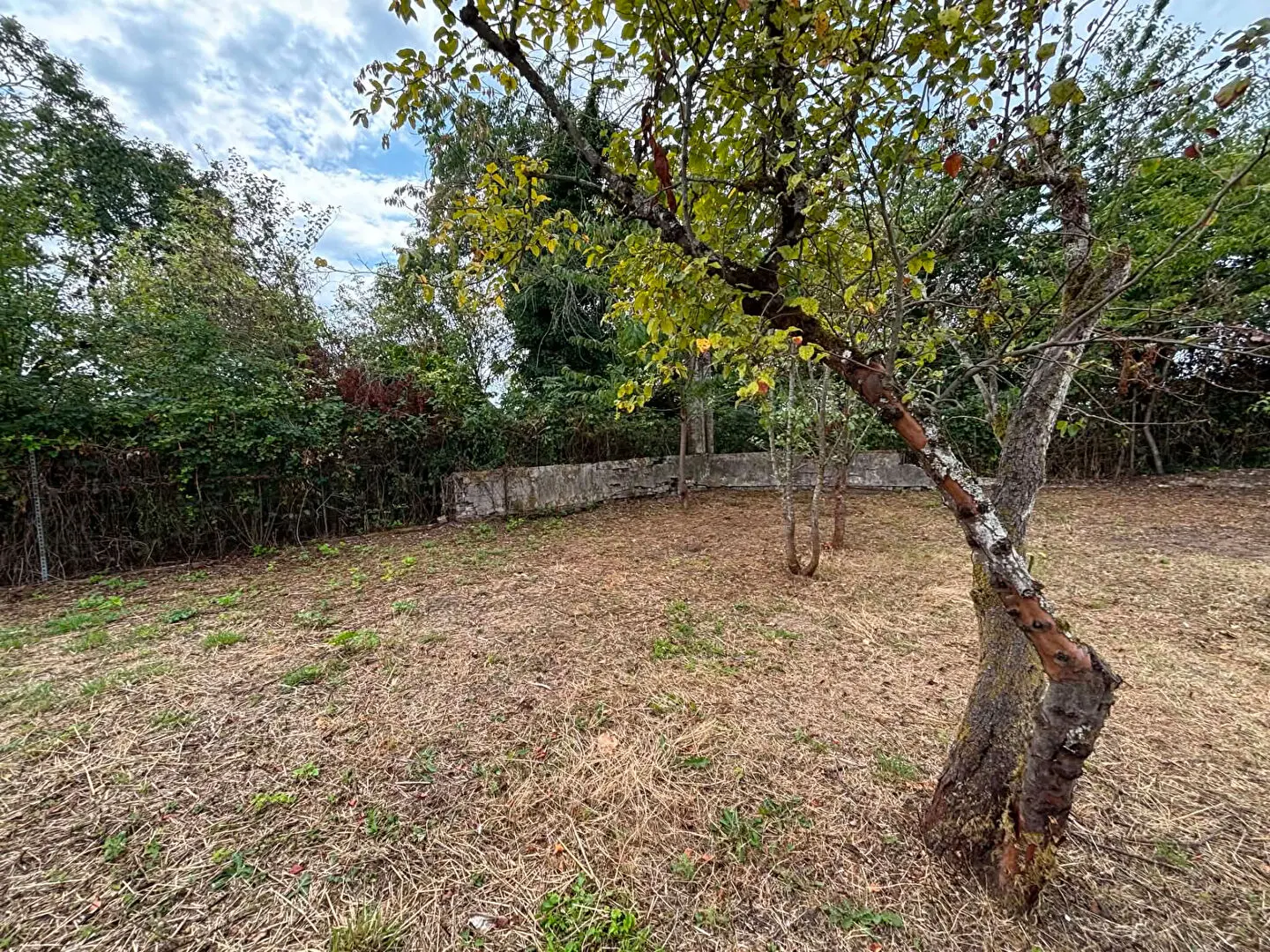 Photo 3 Terrain 345m²