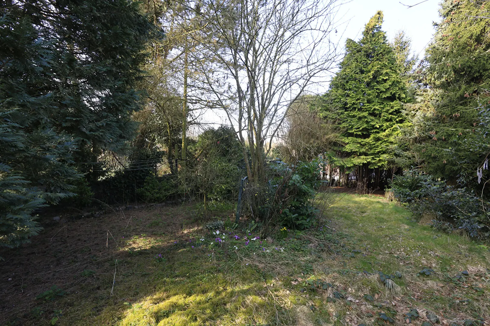Photo 8 Maison 8 pièces 220m²