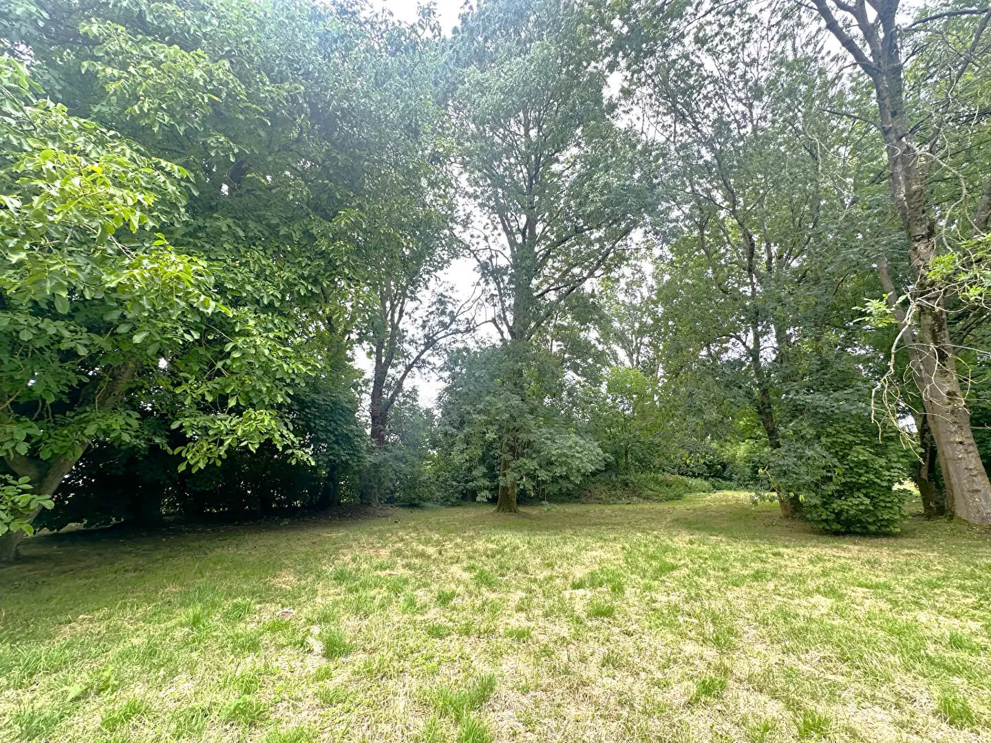 Photo 2 Terrain
