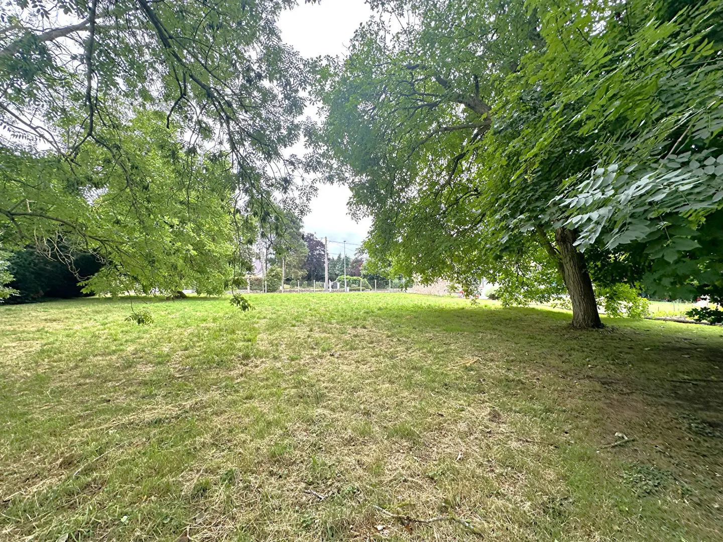 Photo 1 Terrain