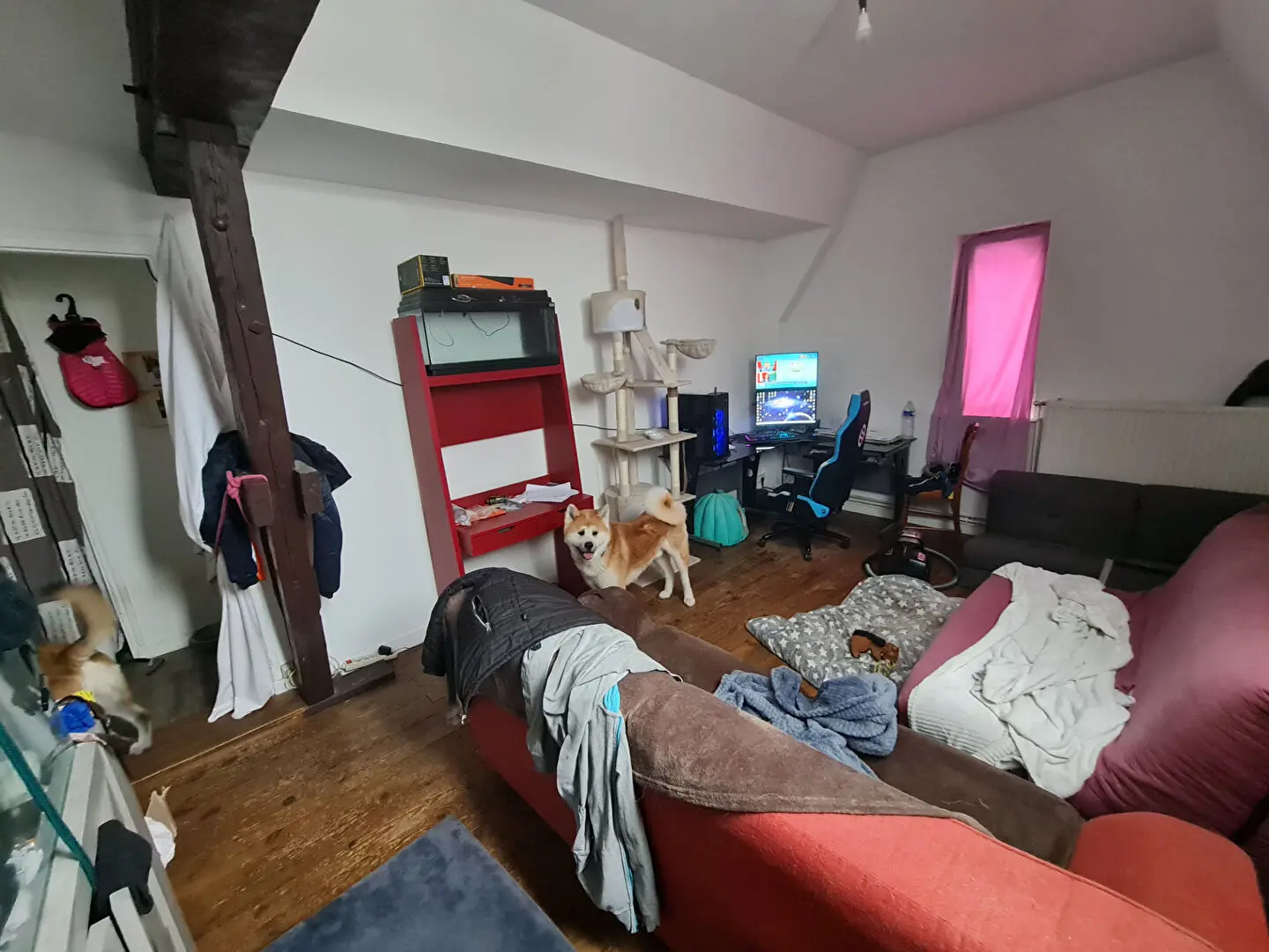Photo 6 Immeuble 60m²