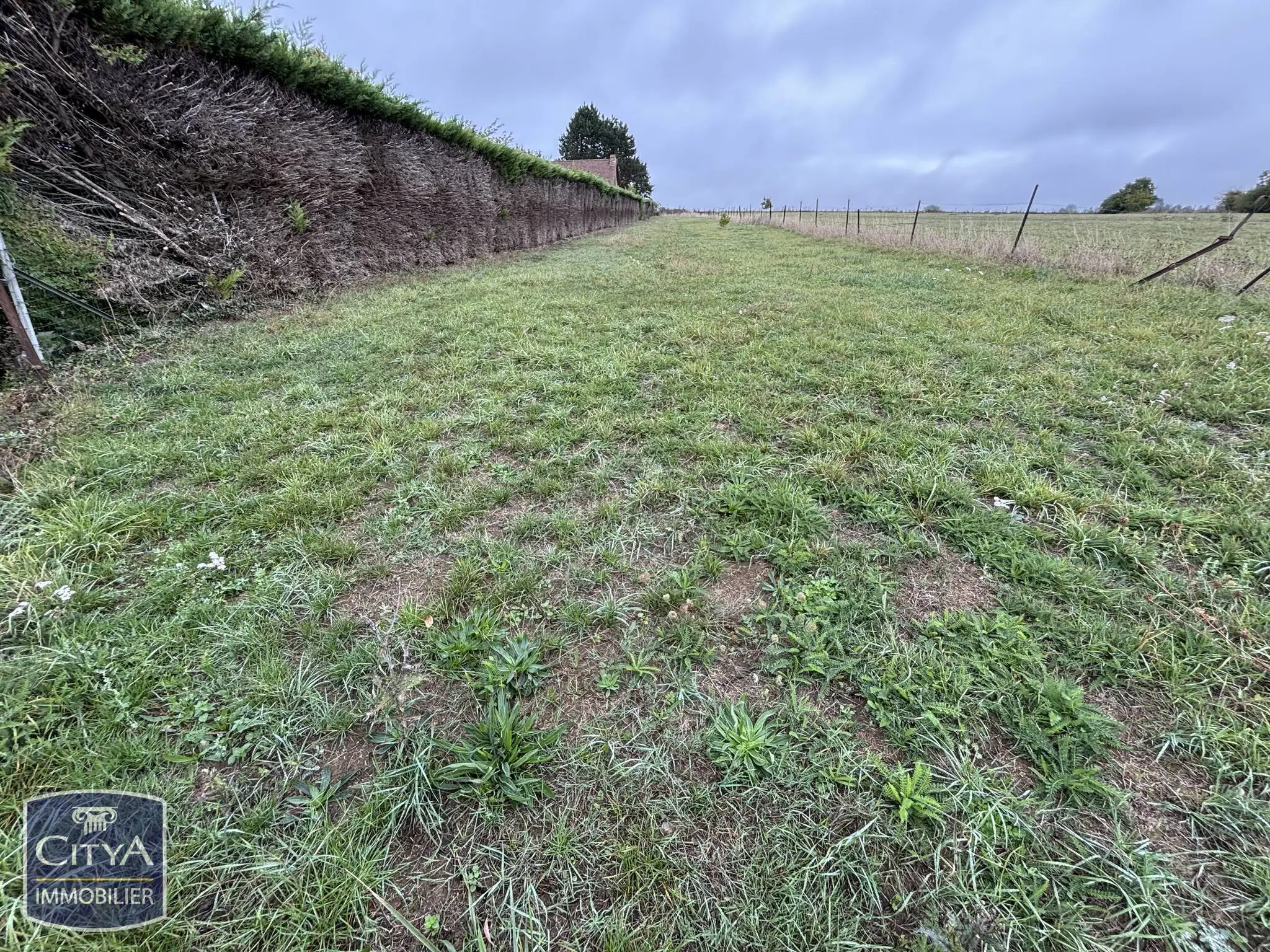 Photo 2 Terrain