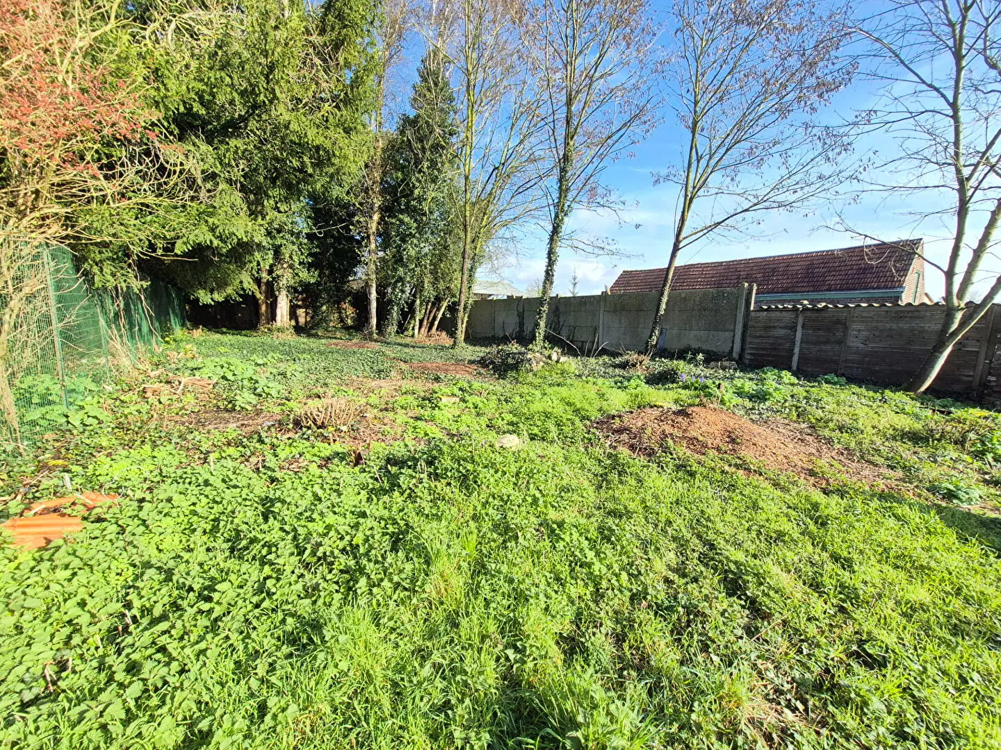 Photo 1 Terrain 477m²