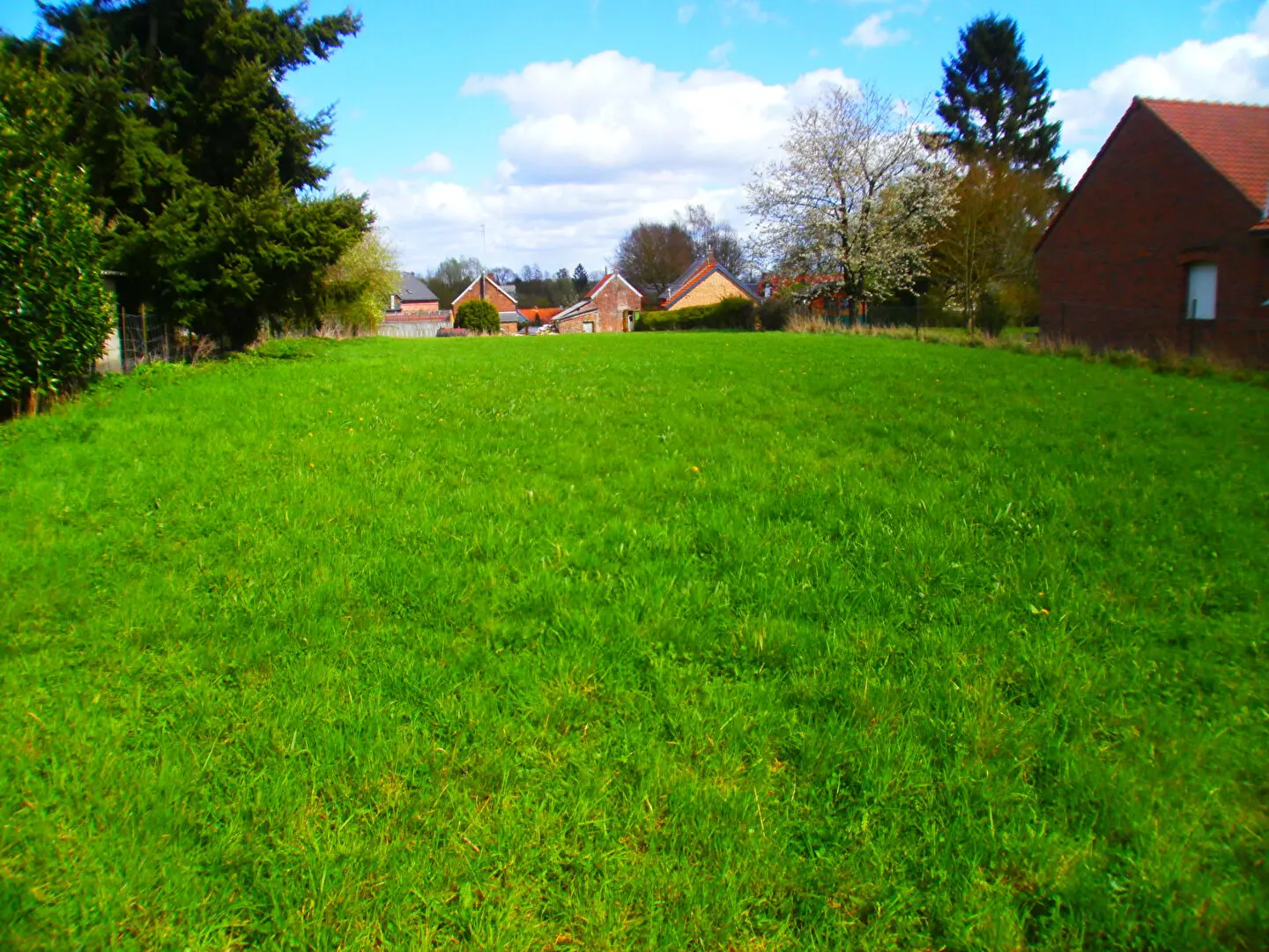 Photo 2 Terrain