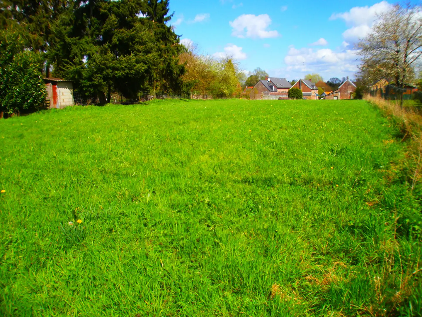 Photo 1 Terrain