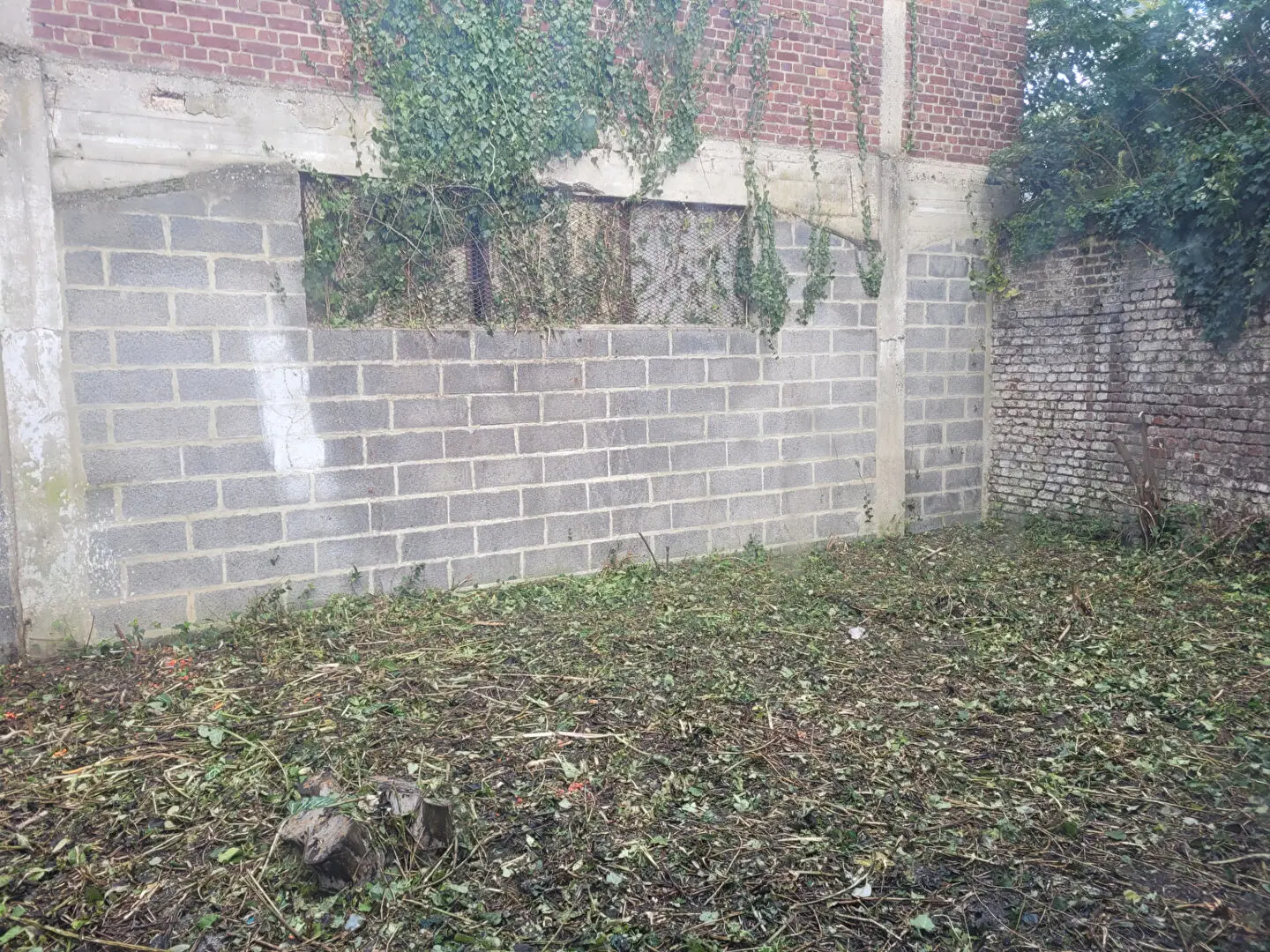 Photo 4 Local Commercial 219m²
