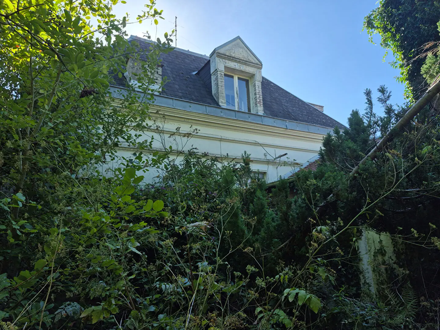Photo 4 Immeuble 800m²