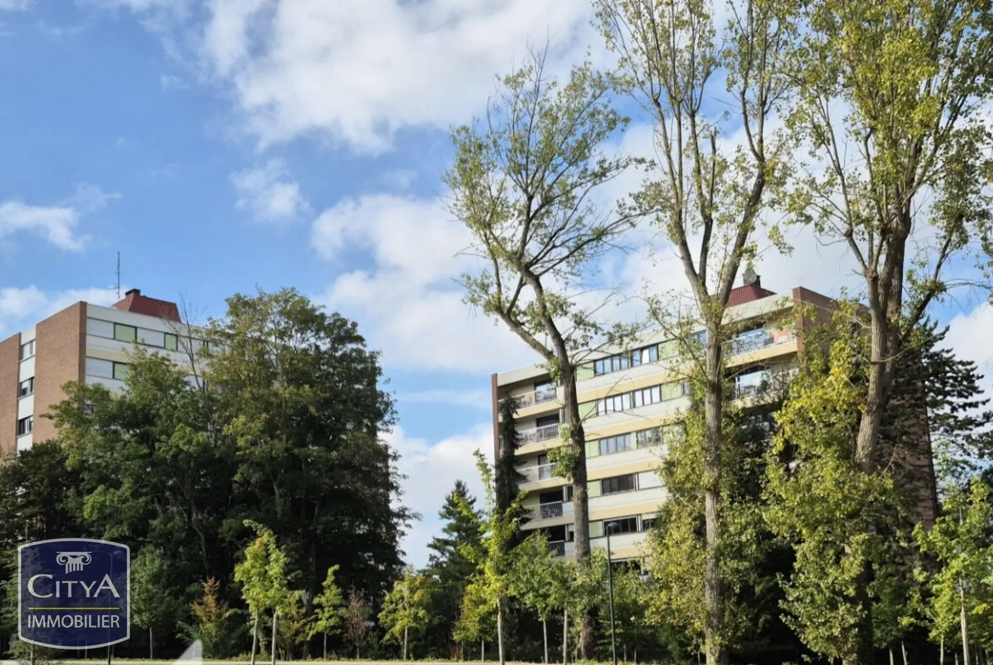 Photo 1 Appartement 1 pièce 33.83m²
