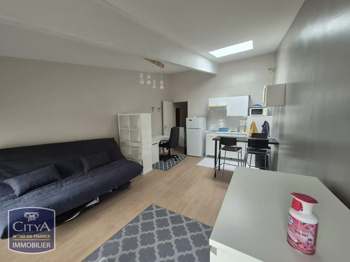 Photo 1 Appartement 1 pièce 25.34m²