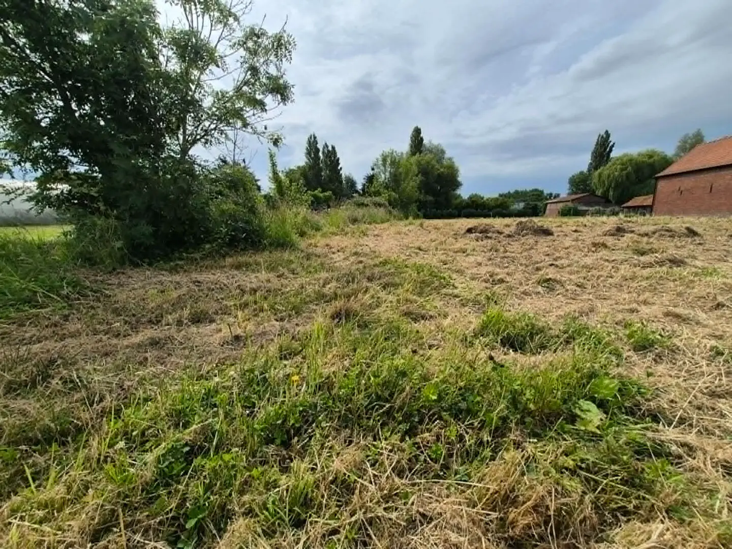 Photo 3 Terrain