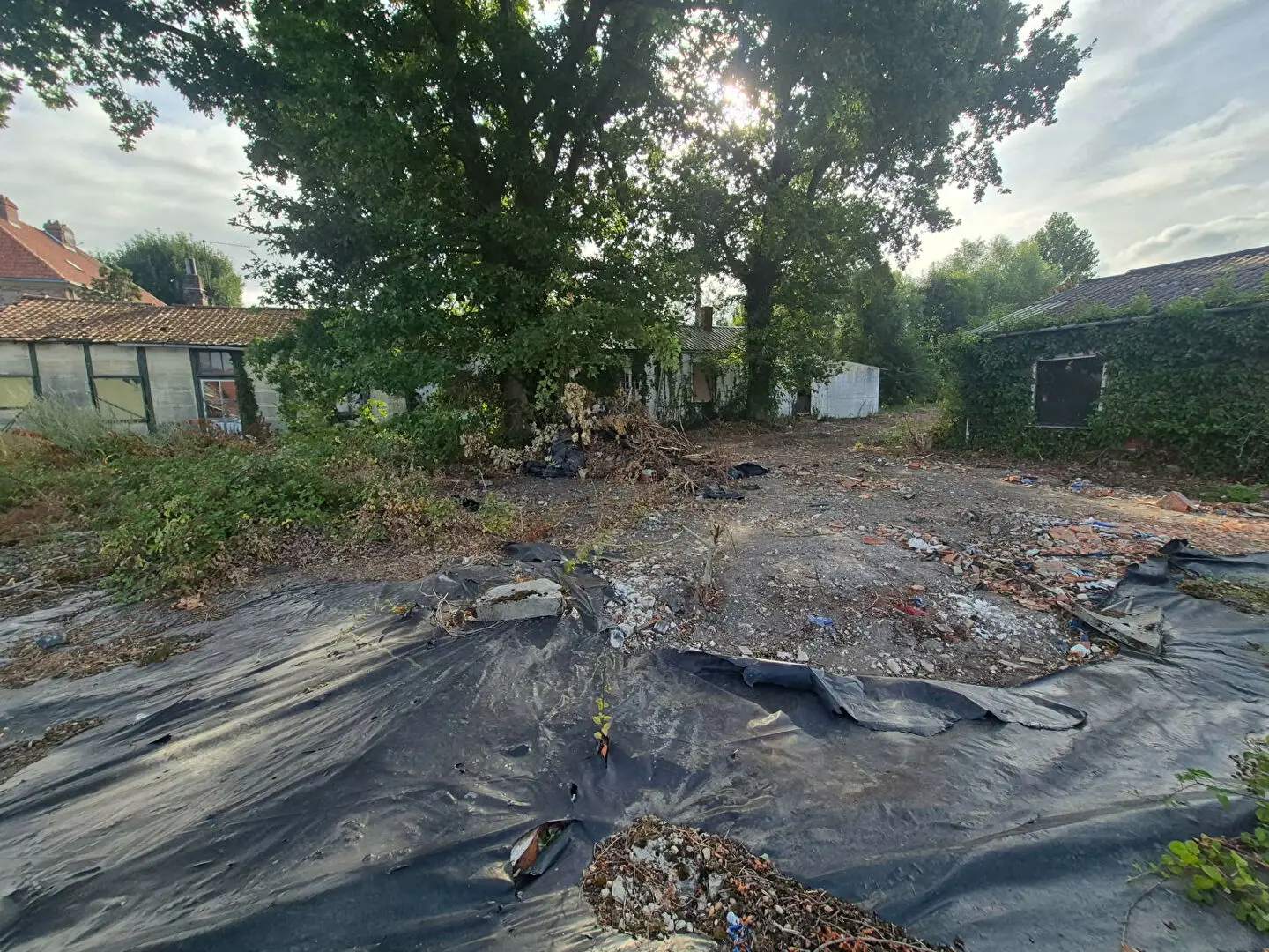 Photo 6 Terrain