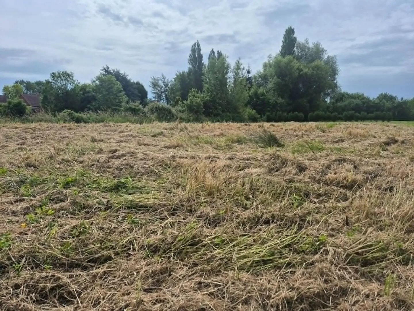 Photo 2 Terrain