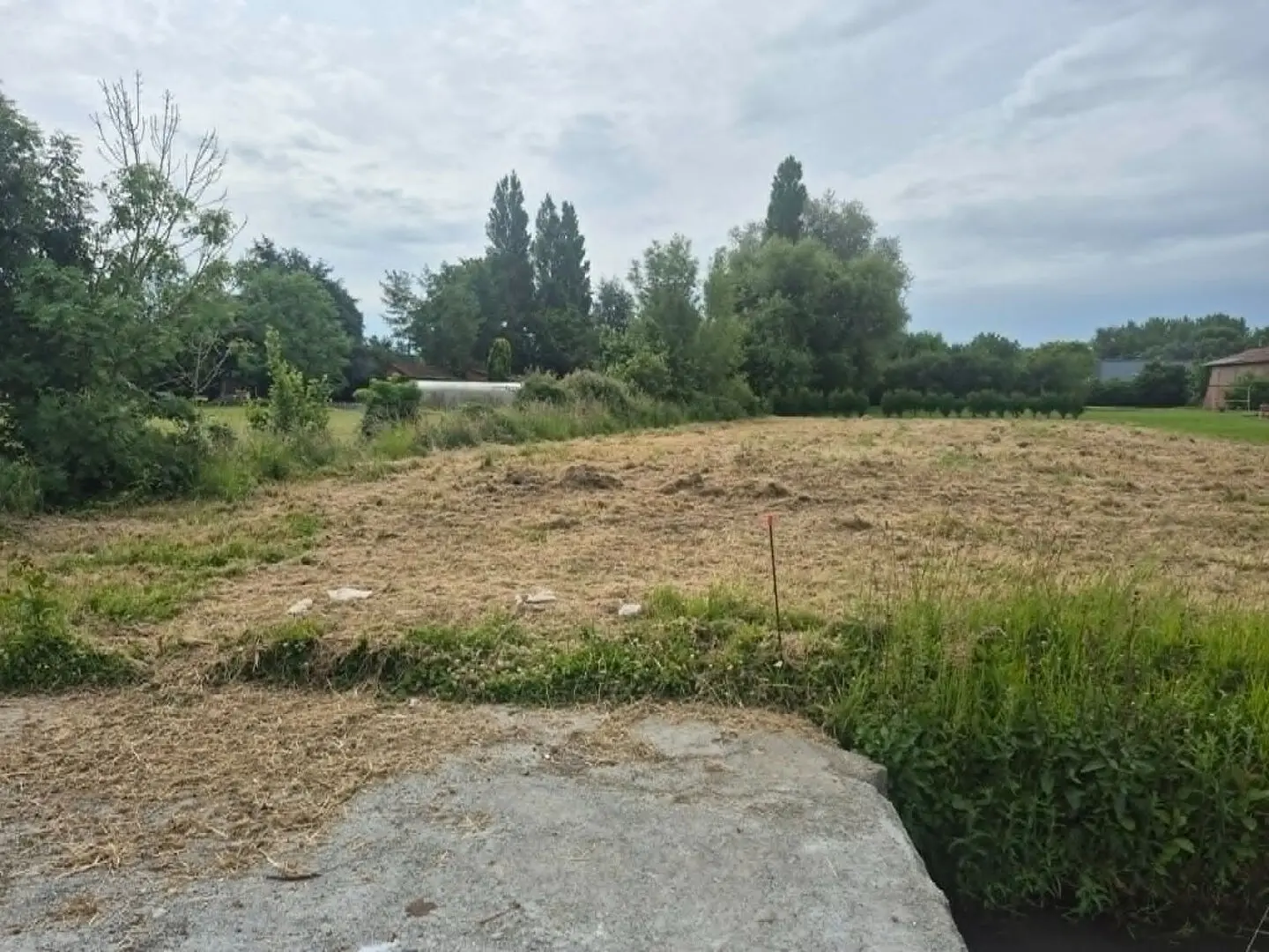 Photo 1 Terrain