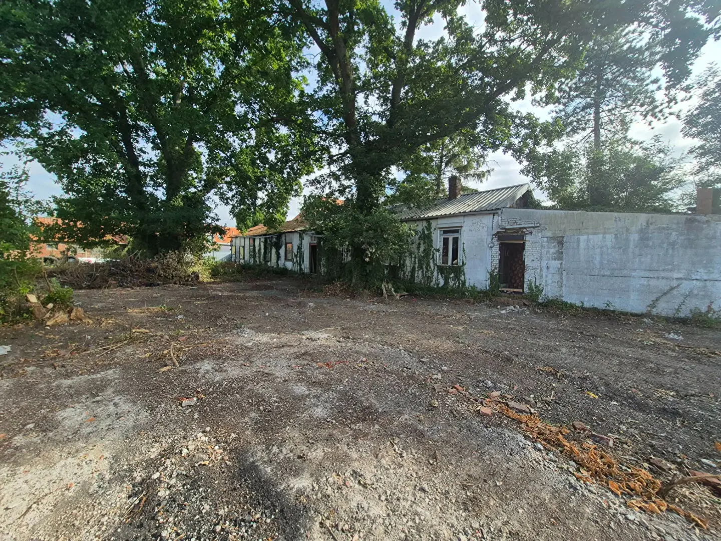 Photo 5 Terrain