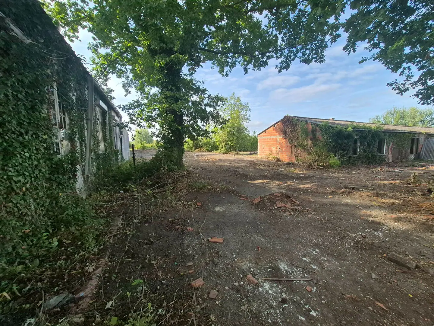 Photo 10 Terrain