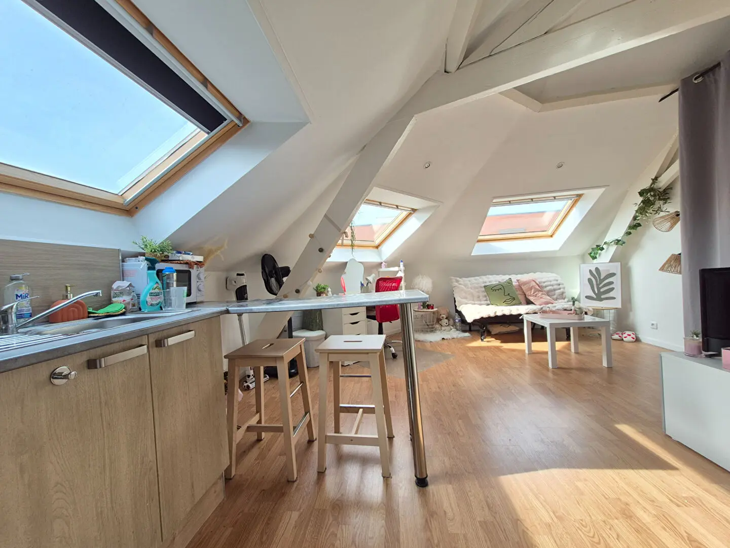 Photo 1 appartement Loos