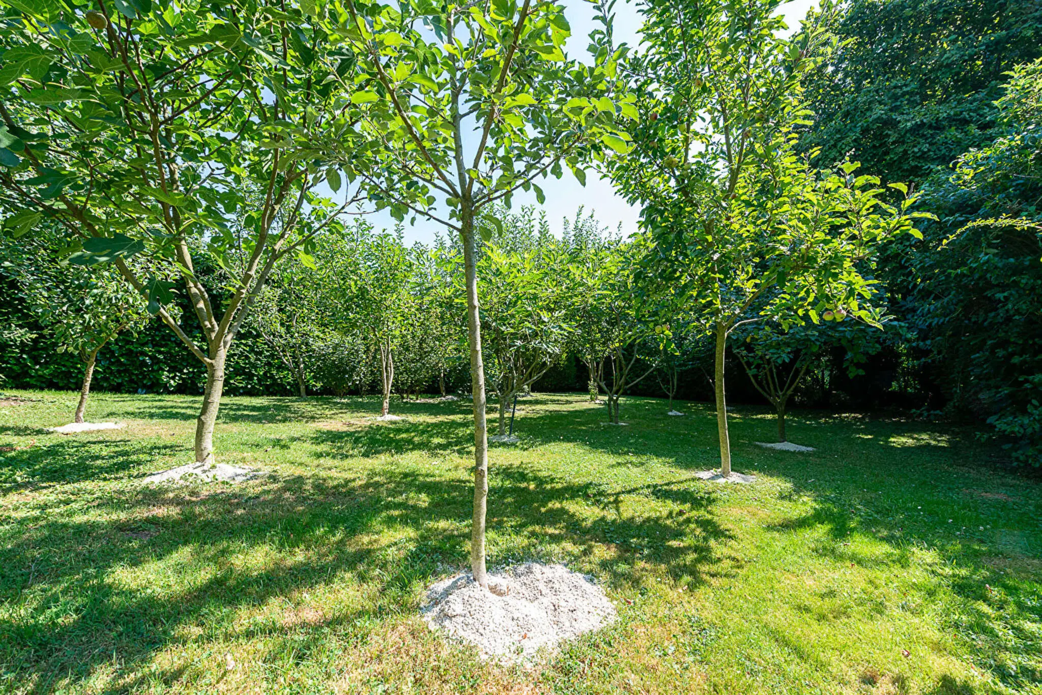 Photo 17 Maison 5 pièces 145m²