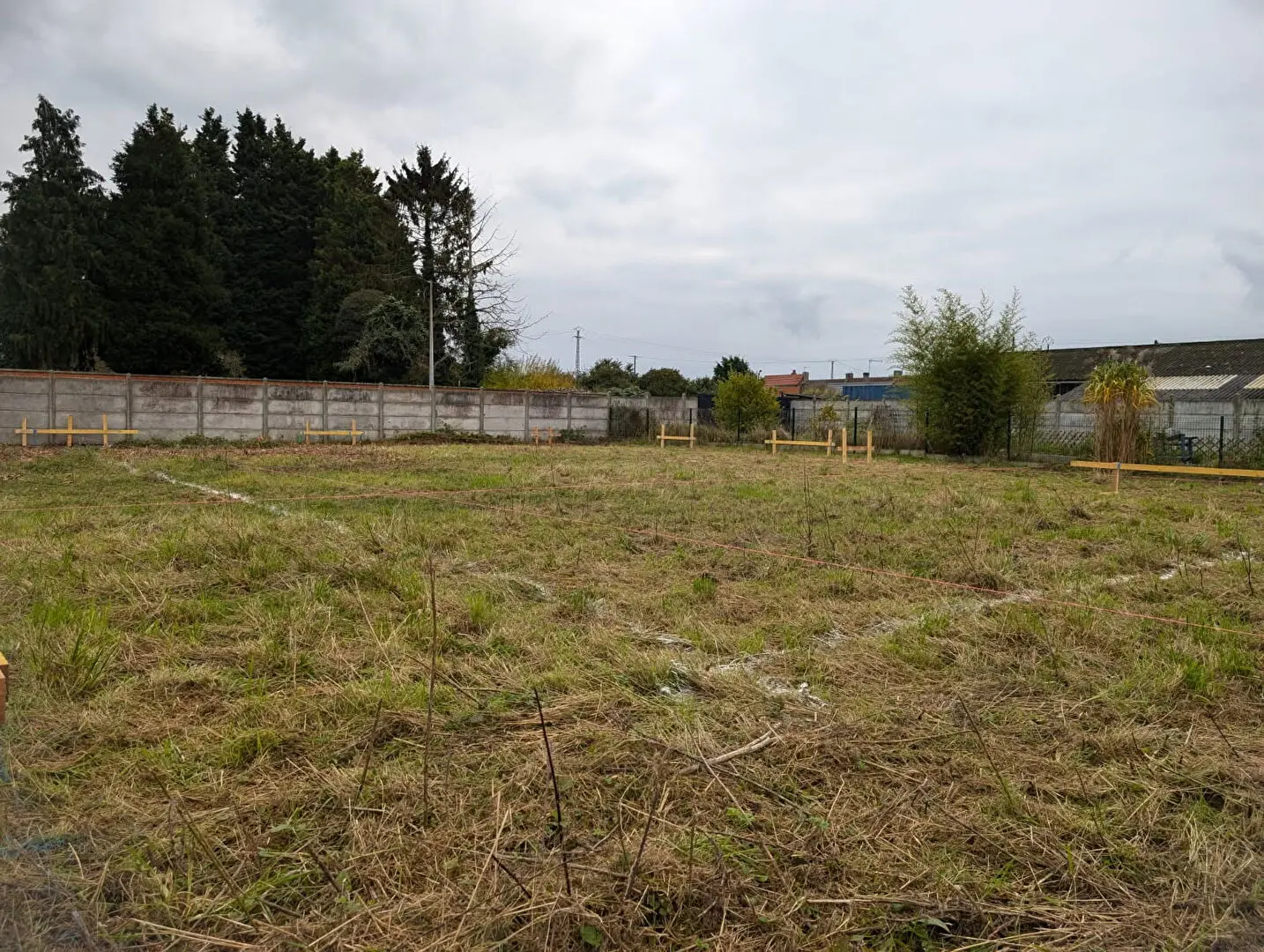 Photo 2 Terrain