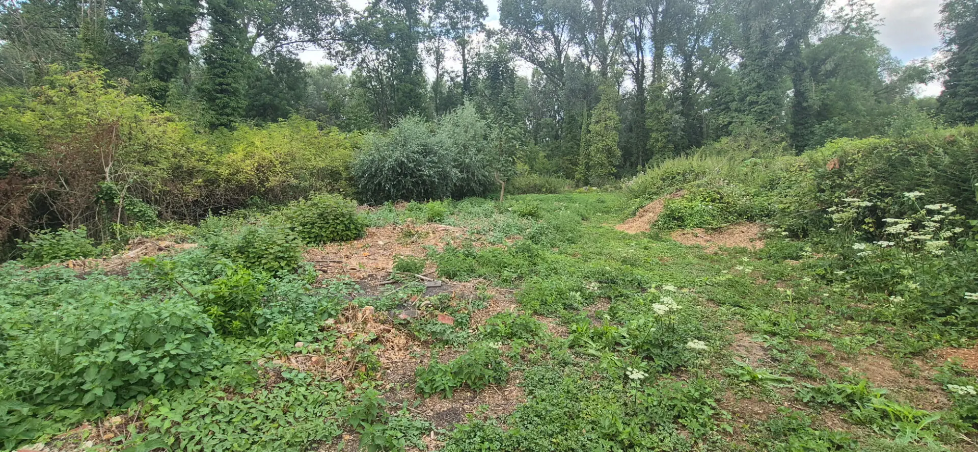Photo 2 Terrain 2080m²