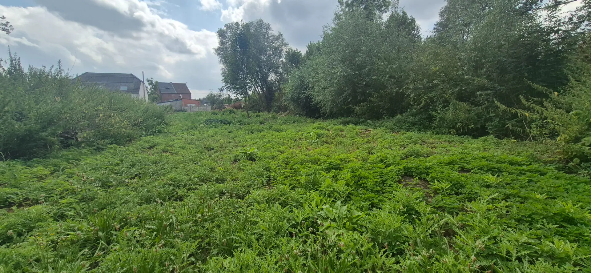 Photo 3 Terrain 2080m²