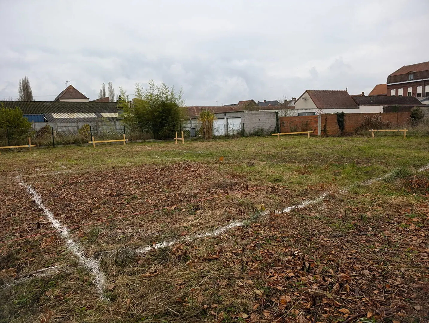 Photo 3 Terrain