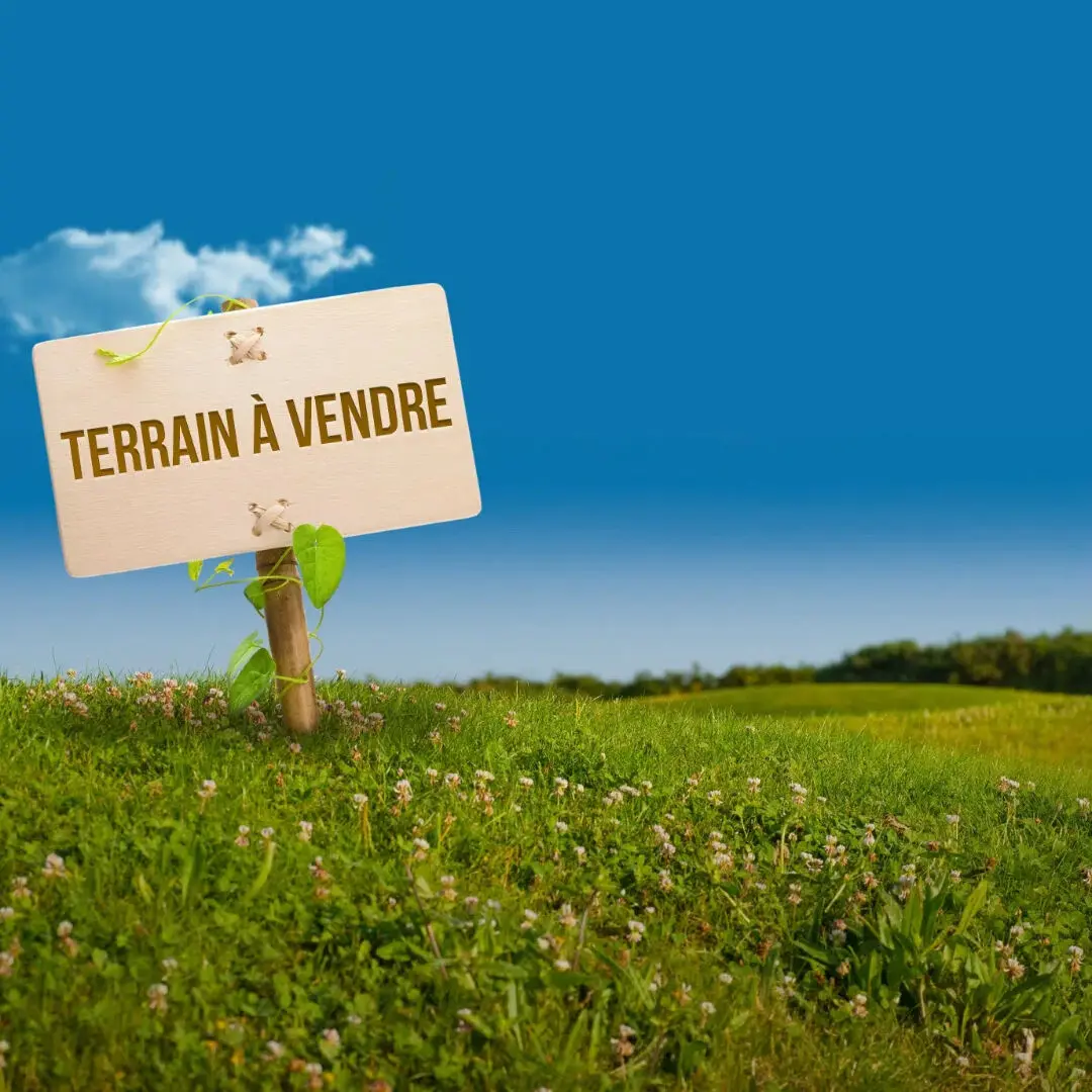Photo 1 Terrain