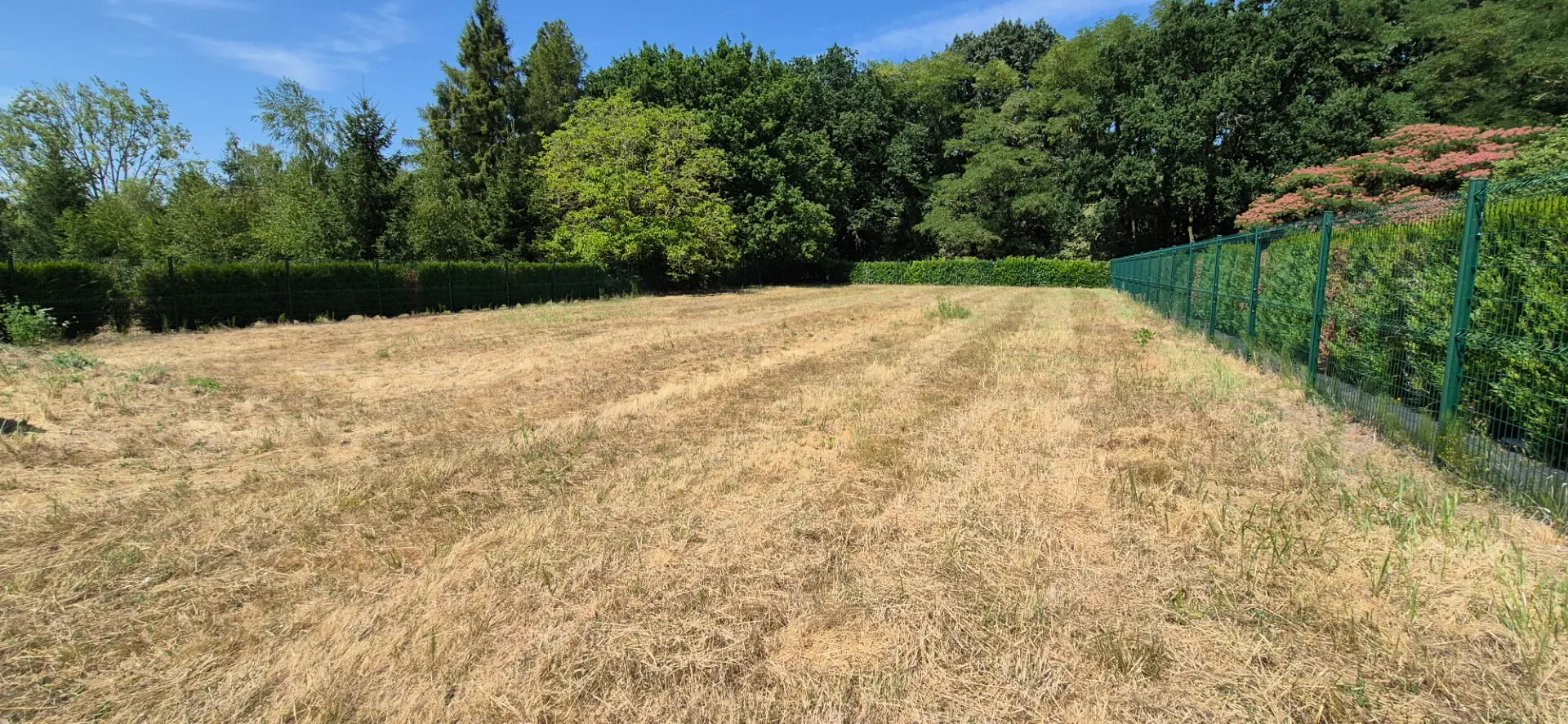 Photo 1 Terrain