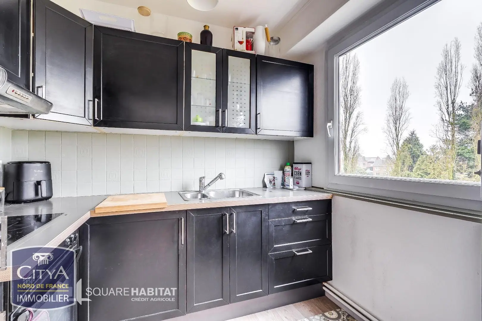 Photo 1 appartement Faches-Thumesnil