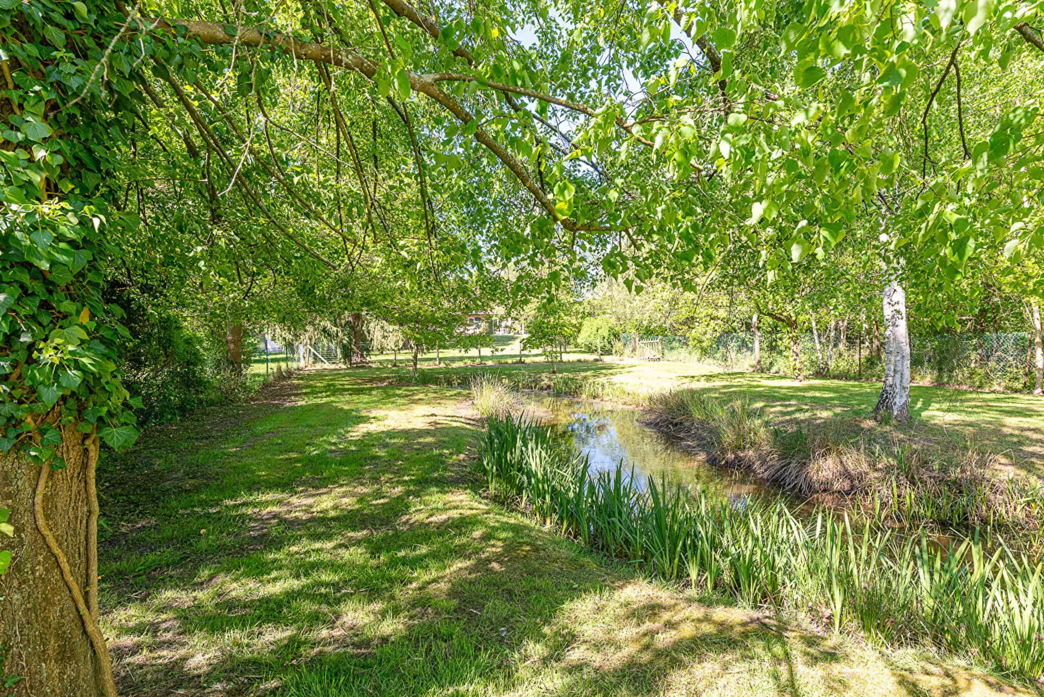 Photo 14 maison Saint-Amand-les-Eaux