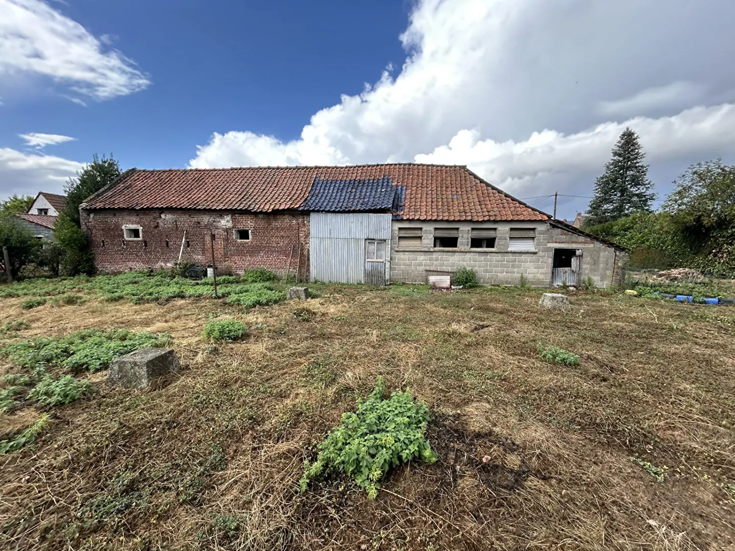 Photo 3 maison Brillon