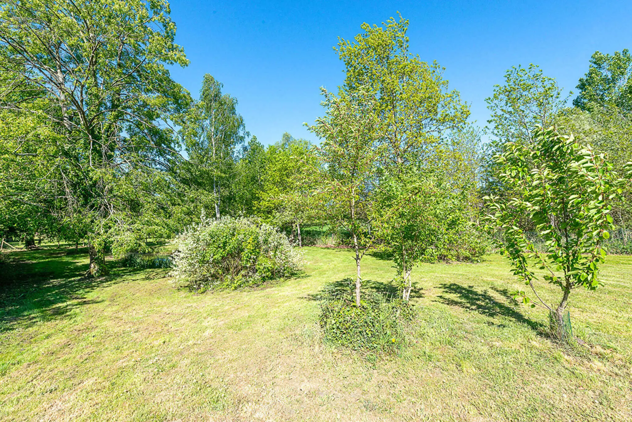 Photo 16 maison Saint-Amand-les-Eaux
