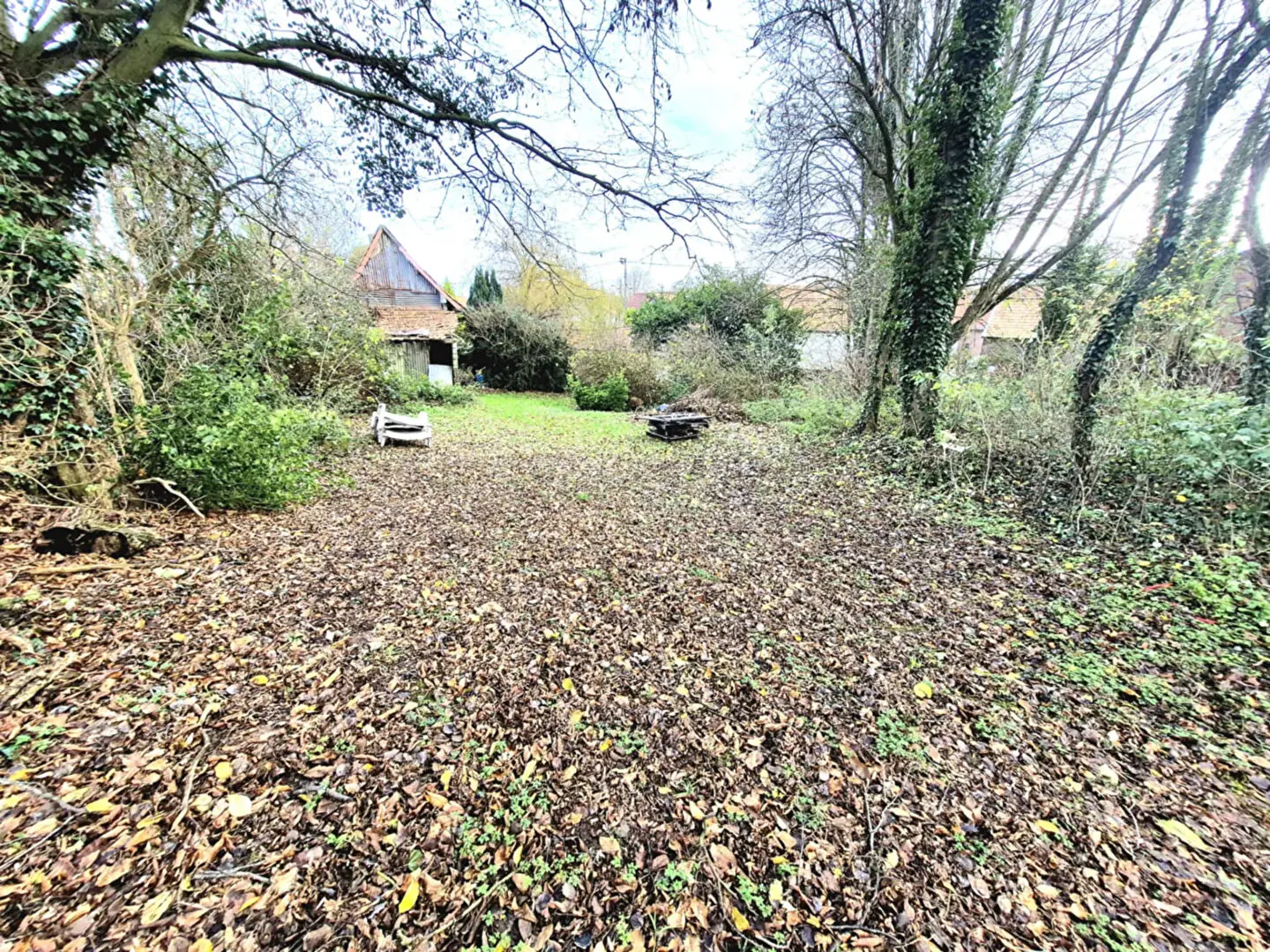 Photo 4 Terrain