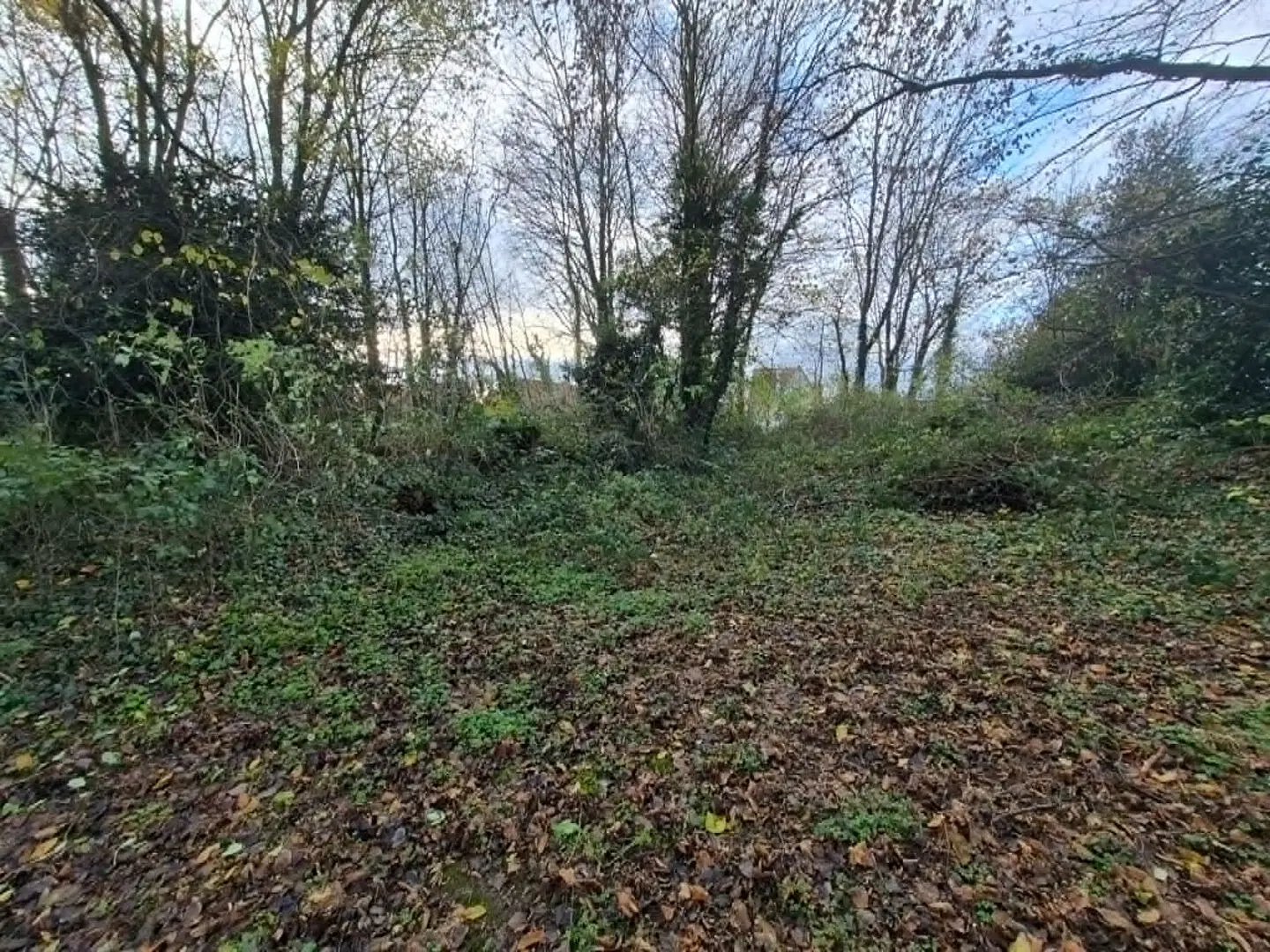 Photo 2 Terrain