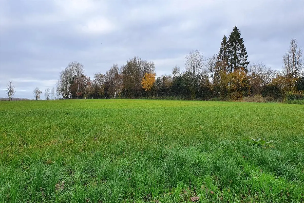 Photo 1 Terrain