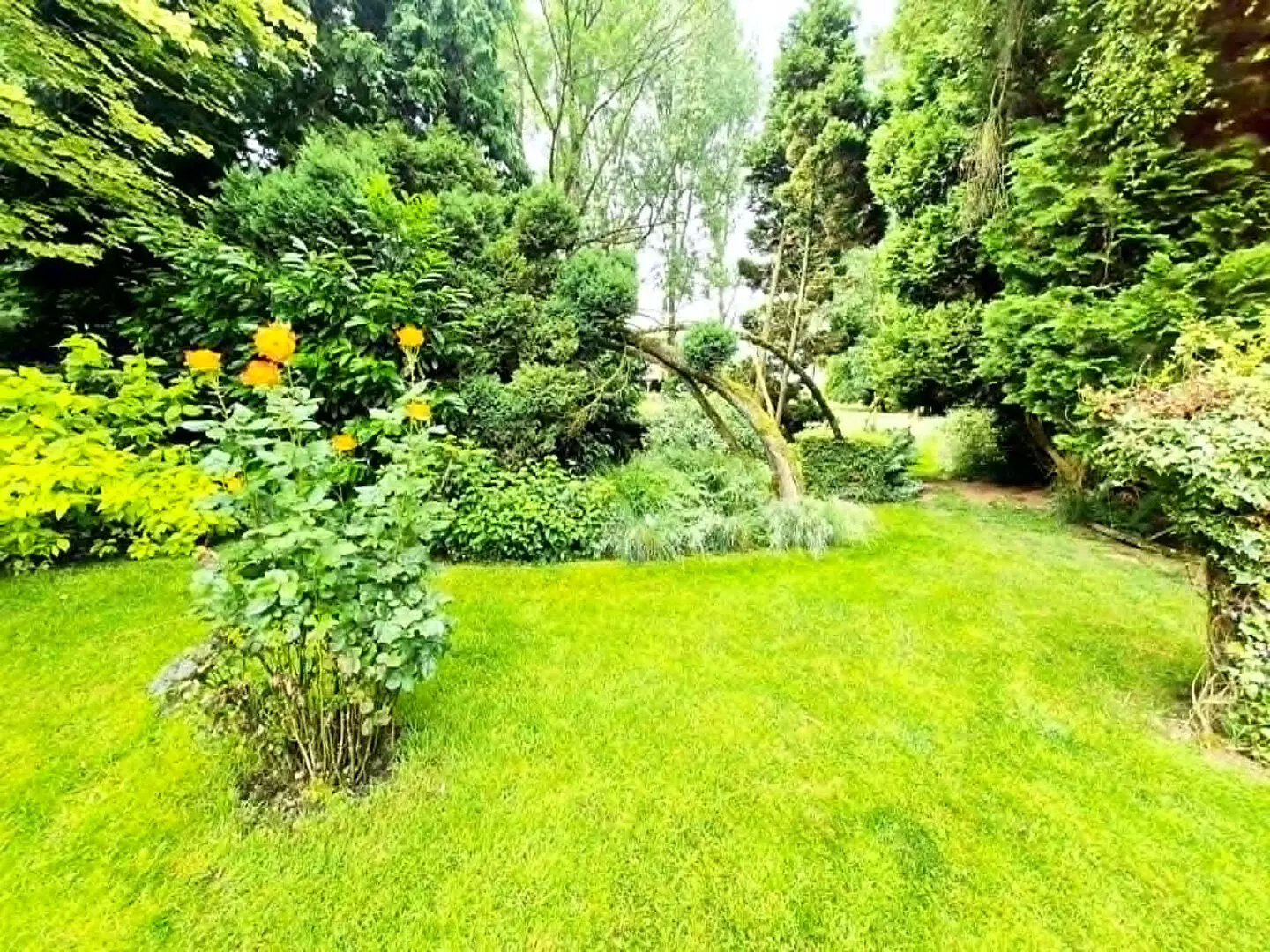 Photo 9 maison Quœux-Haut-Maînil