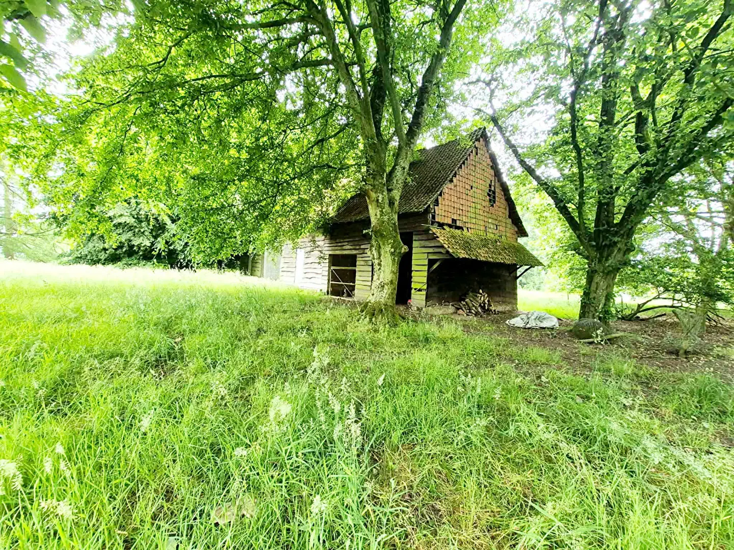 Photo 10 maison Quœux-Haut-Maînil