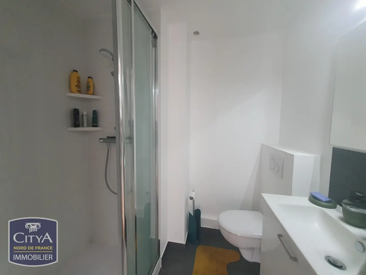 Photo 5 Appartement 1 pièce 9.51m²