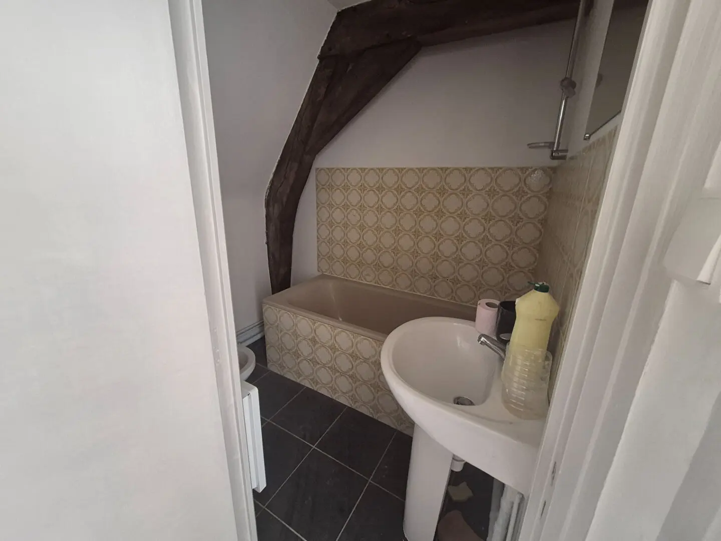 Photo 2 Appartement 1 pièce 30m²